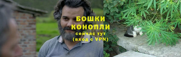 дживик Вяземский