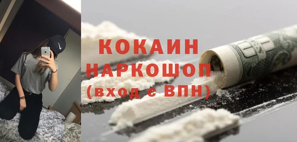 шишки Вязьма