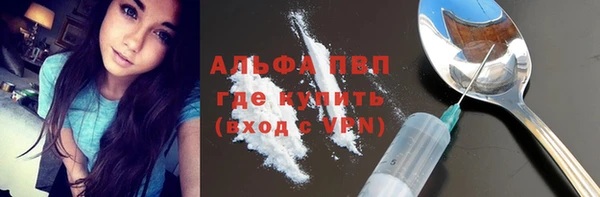 дживик Вяземский