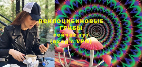 дживик Вяземский