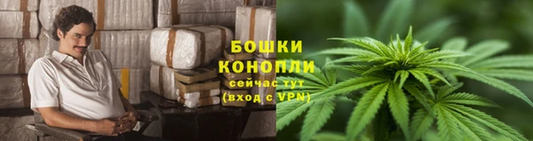 гашик Вязники