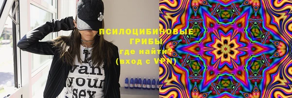 шишки Вязьма