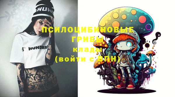 дживик Вяземский