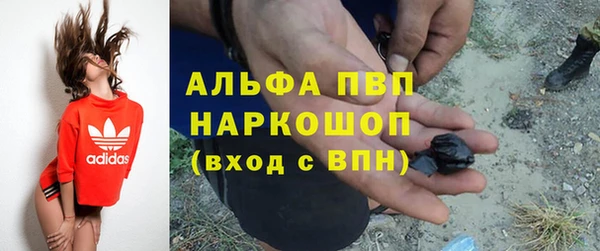 гашик Вязники
