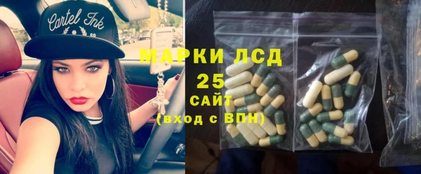 шишки Вязьма