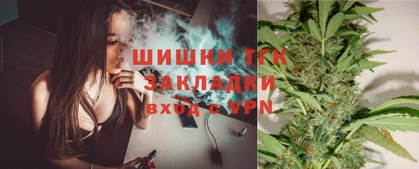 гашик Вязники