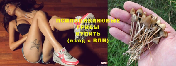 шишки Вязьма
