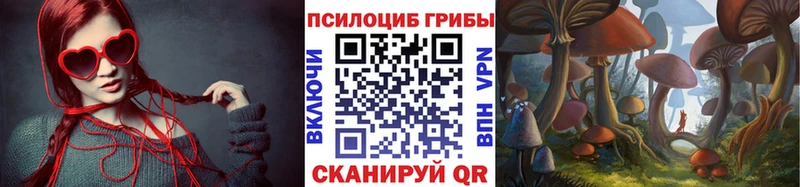 Галлюциногенные грибы Psilocybe  Мценск 